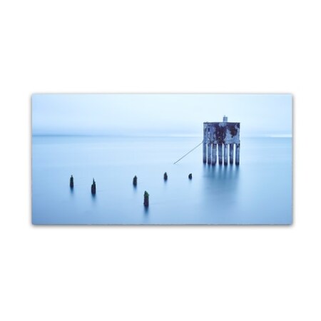 Trademark Fine Art Moises Levy 'My Pet Panoramic' Canvas Art, 10x19 ALI6040-C1019GG